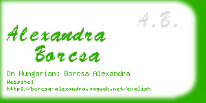 alexandra borcsa business card